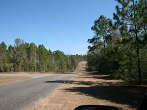 Paved road in Compass Lake in the Hills image